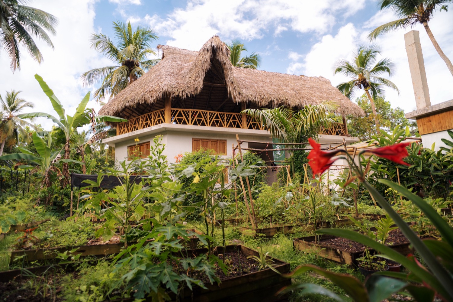Garden and on-site hostel at Leisys Garden